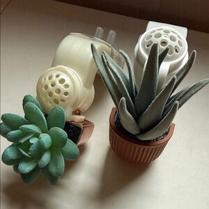 Succulent Wall Plug-In Air Fresheners wallflowers
